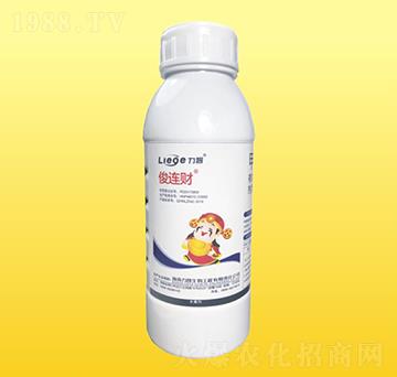 ���Bؔ������-��������