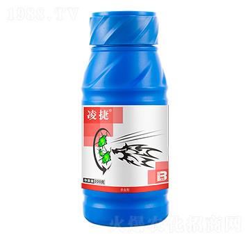����x������(li��n)��������200g��-���-ӯ�x