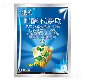 60%���򡤴�ɭ(li��n)��140g��-��̩-ӯ�x