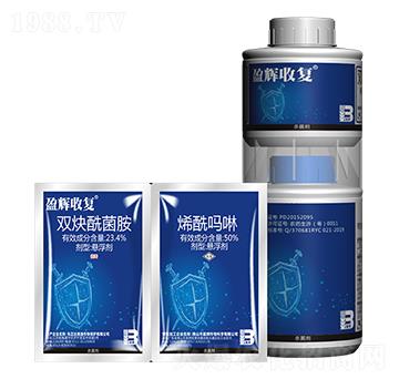 23.4%�pȲ������+50%ϩ������-ӯ�x�Տ�-ӯ�x