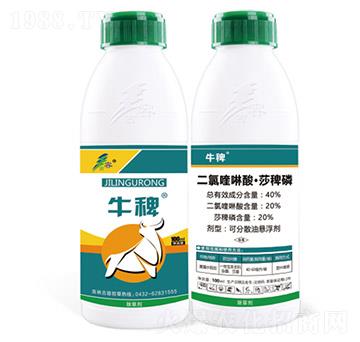 40%二氯喹啉酸·莎稗磷-牛稗-古容
