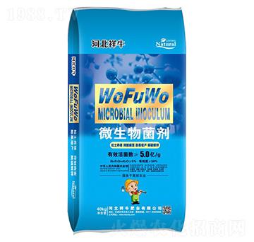 5�|΢�������-������(y��u)��(y��u)-��ţ�ʘI(y��)