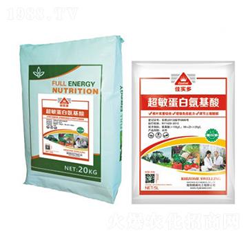 �ь�(sh��)�೬�����װ�����-����