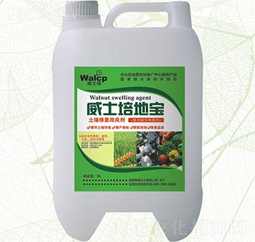 ����������-��ʿ��،�-����