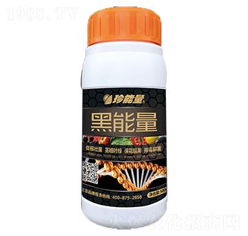 ������-���A����