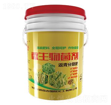 ΢�������-������Y��-(li��n)��μ�