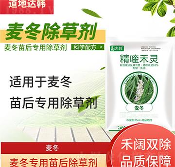 �������݄�-�������-