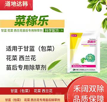 ���{�������{�����݄�-���{�������{�����-���{�������{������-���n