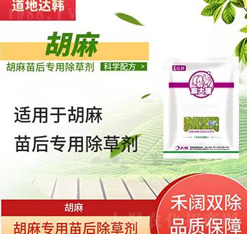 ������݄�-�������-