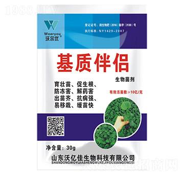 基質(zhì)伴侶-沃爾優(yōu)