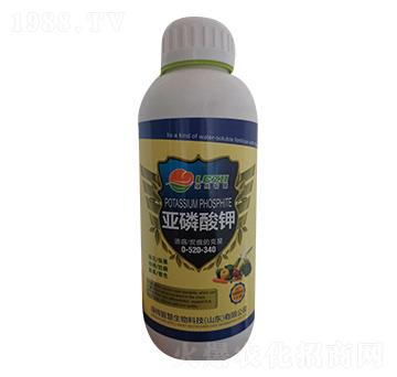 �������-�P����