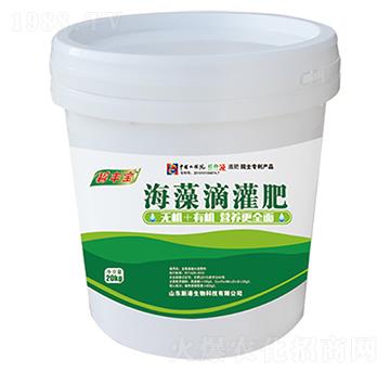 ����ι��-�¸�����