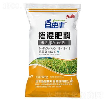 �������19-19-19-�����S-�\���Ƽ�