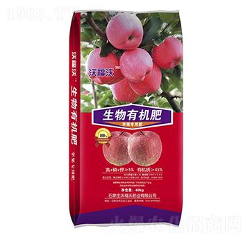 �O(p��ng)�����������ЙC(j��)��-�ָ���