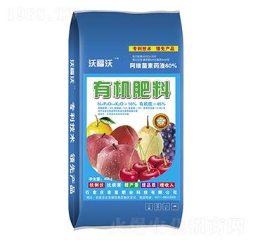 �ЙC����-�ָ���