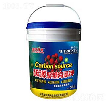 ̼Դ���Ǻ����-��������