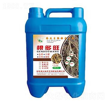 ������-��������