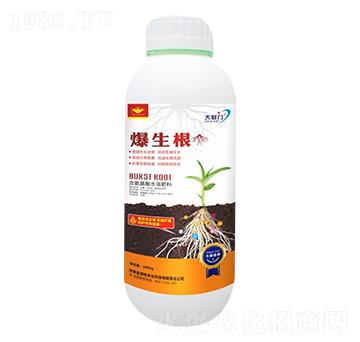 爆生根-金滿地