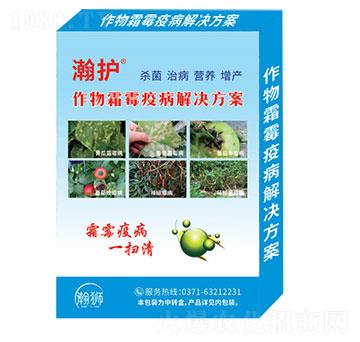 作物霜霉疫病解決方案-瀚護(hù)-瀚獅農(nóng)業(yè)