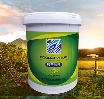 �������-�à�B(t��i)-�r��