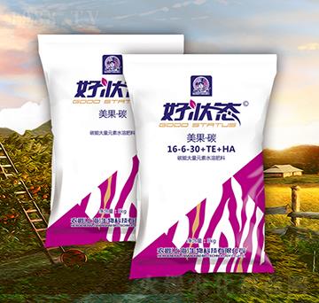 ������̼16-6-30+TE+HA-�à�B(t��i)-�r��