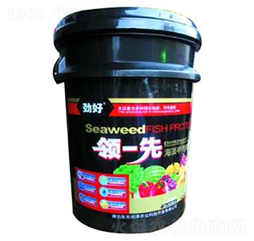 ����ך�����-�I(l��ng)-��-�|����(r��n)��