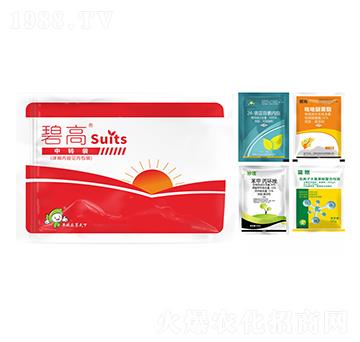 ����I�B(y��ng)�ײ�-�̸�-�S�՘�