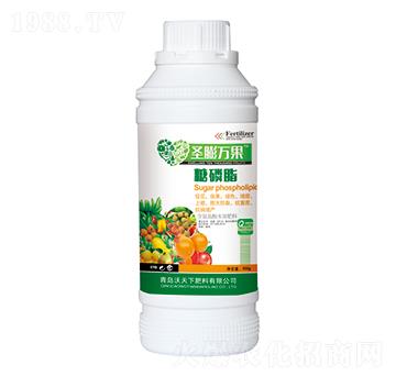 糖磷脂-圣膨萬果-沃天下