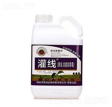 微生物菌劑-灌線-華濱生物