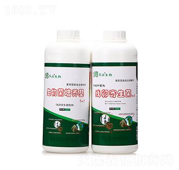 ��������B(y��ng)��+���Ѽ�����-�A�I