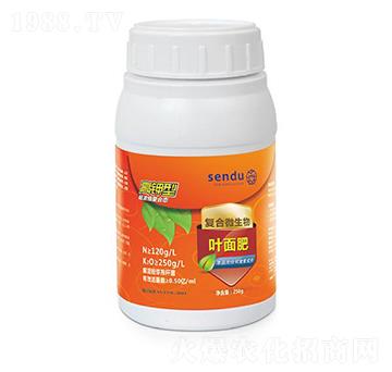 高鉀型復合微生物葉面肥-森度