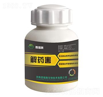 ��ˎ��-������