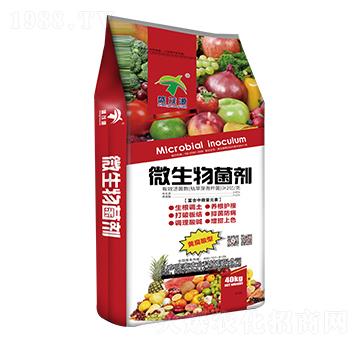 40kg΢�������-ʢïԴ-¡̩�r(n��ng)�I(y��)