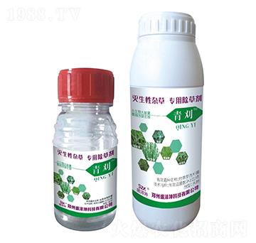 �������s�݌�(zhu��n)�ó��݄� ���� ʢ����