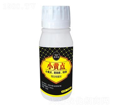 С�S�c(di��n) ʢ����