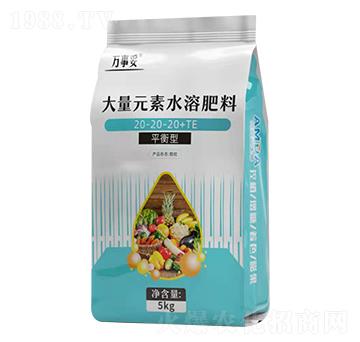 大量元素水溶肥料20-20-20+TE 萬事妥 阿姆達