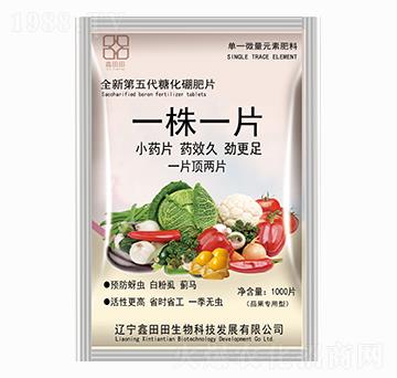 �ѹ������� һ��һƬ ������