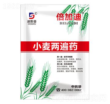 С���ɱ�ˎ ���ӵ� ��˹��