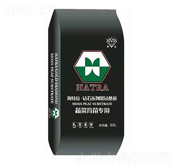 �߲����猣�� �@ʯϵ�к��@���|(zh��) ������