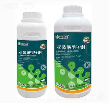 �������+�~ �Ƶ�