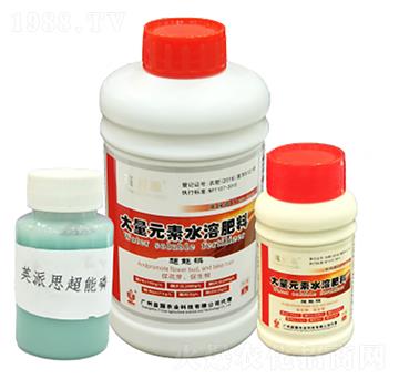 Ӣ��˼������� ����r(n��ng)�I(y��)