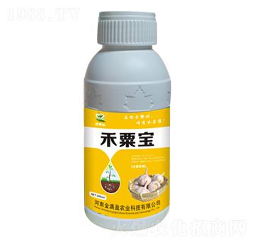 大蒜專用肥 禾粟寶 金滿盈農(nóng)業(yè)