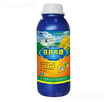 鐵桿大穗-美爾豐-康奈爾