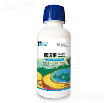 根沃萊-美爾豐-康奈爾