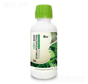 瓜果類?；ㄅ蚬霎a(chǎn)專用肥-瓜胖子-康奈爾