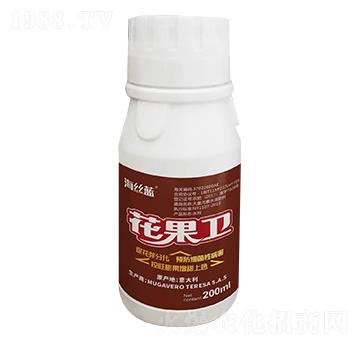 �����l(w��i) ���z�{