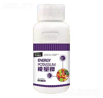 �����-�o��