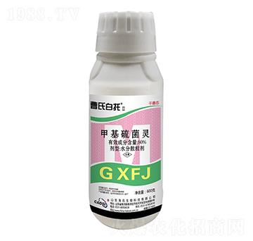 80%�׻�����` ���ϰ��Т� ��Ӎ����