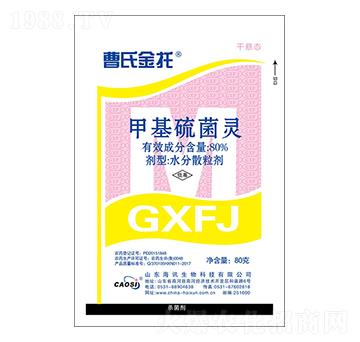 80%�׻�����` ���Ͻ��� ��Ӎ����