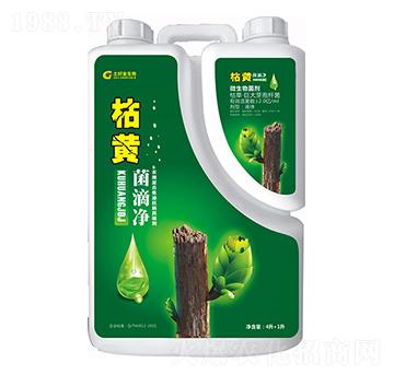 ���S���΃� ���ý�